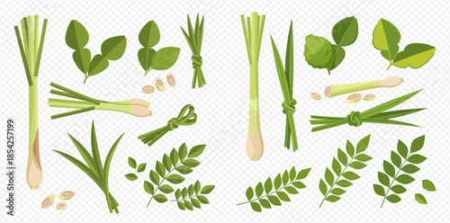 Collection of fresh aromatic herbs and spices including lemongrass, kaffir lime leaves, and moringa leaves.