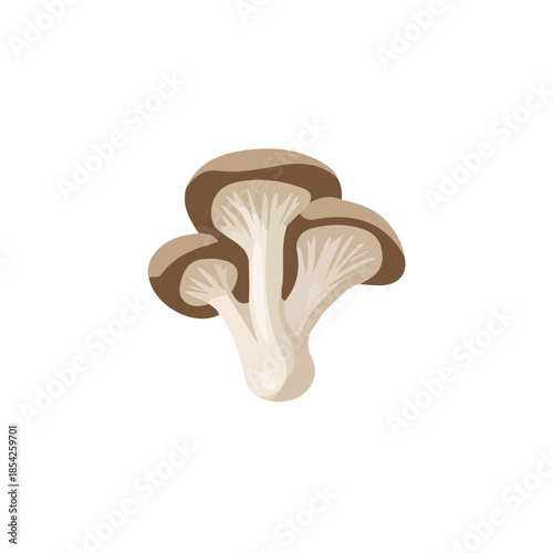 2D_icon_of_a_oyster_mushroom_isolated_Vector, eps, flat design, animation design, simple flat 2D icon, minimalist design, clipart, illustration, EPS format