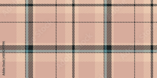 Form background textile pattern, duvet cover tartan texture check. Multicultural seamless vector fabric plaid in light and black colors.