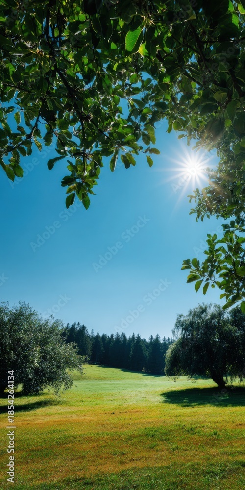 Fototapeta premium Sunny landscape with bright green field and blue sky framed by trees