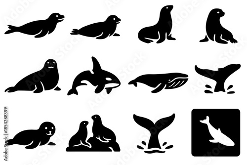 Antarctic Mammal Icons. Solid style icons of Antarctic mammals: leopard seal, Weddell seal, crabeater seal, fur seal, elephant