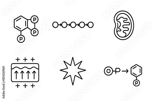 Cellular Energy Icons. Line style icons of Cellular Energy Production: ATP molecule, electron transport chain, mitochondrial