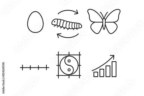 Metamorphosis Line Icons. Line style icons of metamorphosis stages: egg, larva, pupa, and butterfly sequence, cyclical motion
