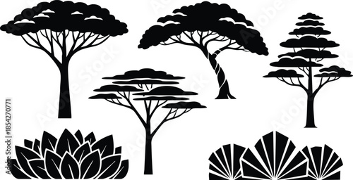 Flat silhouette vector set of african acacia umbrella trees and low shrubs arranged in bold black shapes isolated on white background close up graphic minimalist nature