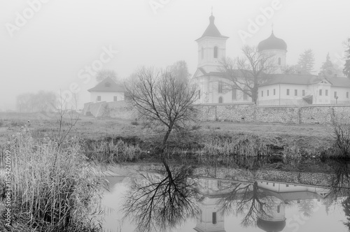 Black and white photograph with the background of a mysterious forest shrouded in winter fog.