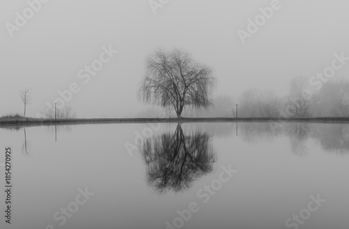 Black and white photograph with the background of a mysterious forest shrouded in winter fog.