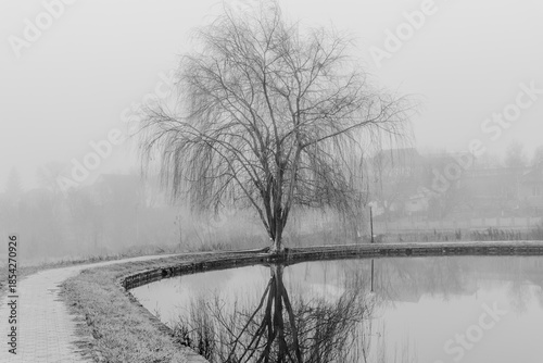 Black and white photograph with the background of a mysterious forest shrouded in winter fog.