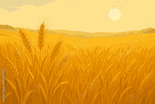 Sunlit Wheat Field. Expansive field of wheat glowing under vector illustration soft natural sunlight, serene and rustic atmosphere