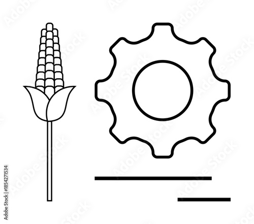 Agriculture, farming processes, innovation, sustainable practices, technical development, food production. A corn plant and gear symbol side by side. Agriculture and innovation concept