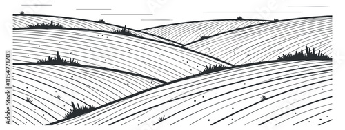 A minimalist black and white vector illustration of rolling hills and fields, ideal for nature-themed designs and backgrounds