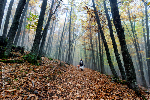 Paseando por el castañar en ottoño