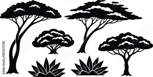 Flat silhouette vector art of savanna acacia trees and agave plants grouped in a horizontal layout isolated on white background minimal botanical landscape black graphic icon