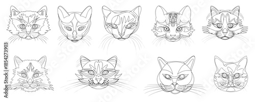 Set of nine black and white cat faces on a white background