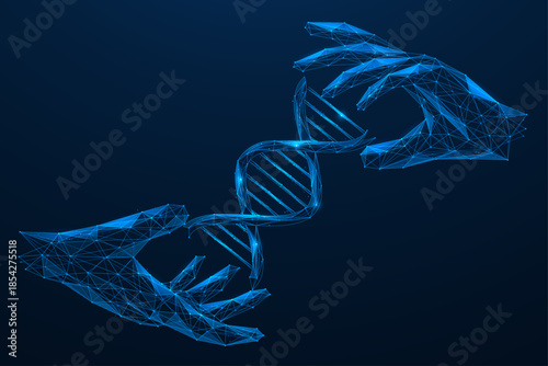 The digital spiral, a touch of genetics.  Two hands gently holding or examining a DNA molecule. The concept symbolizes the intersection of science and the digital world.