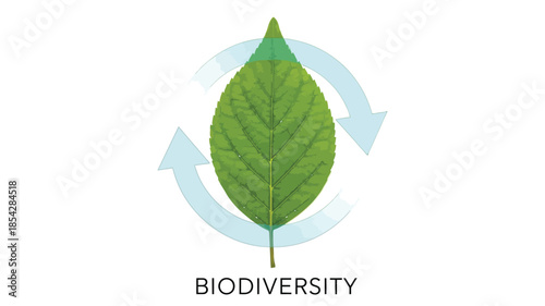 A green leaf encircled by recycling arrows with the word biodiversity displayed below