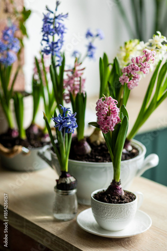 Floral cozy home decor for Easter holiday celebration. Fresh blooming spring hyacinth flowers. Beautiful house interior design, seasonal decoration