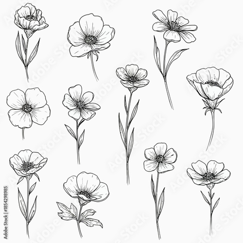 A delicate vector collection of abstract petals and stems, handcrafted in a charming doodle style line art, perfect for floral design elements and elegant botanical illustrations