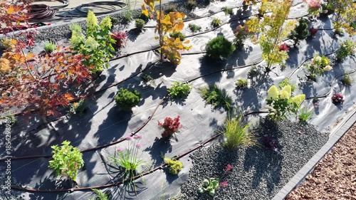 Plants Growing on New Landscape Design With Drip Irrigation System
