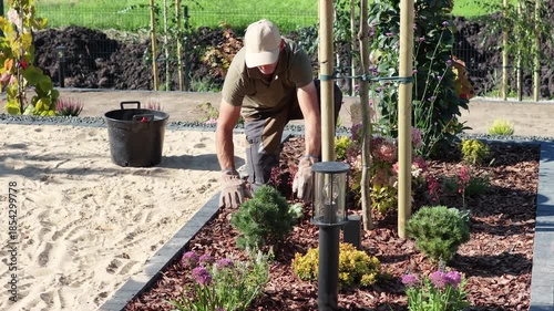 Gardener Plants New Shrubs in a Landscaped Area During a Sunny Day