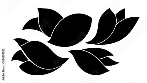 Abstract black floral petals arrangement on white background a graphic design element