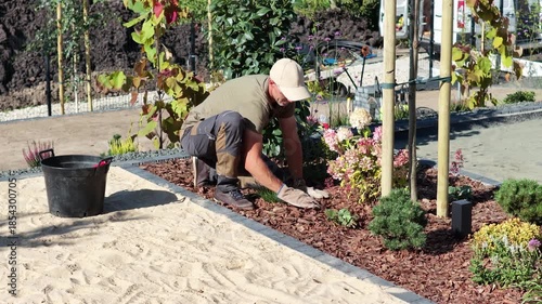 Gardener Working on Landscape Design in Sunny Garden Area