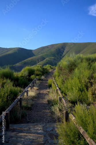 Wallpaper Mural Mountain trail through green hills Torontodigital.ca