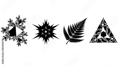 Collection of fractal shapes and a fern leaf in black and white graphical elements