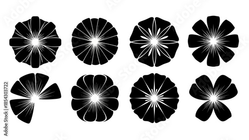 Collection of stylized black and white floral petal illustrations