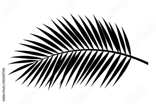 Simple black and white silhouette graphic of a tropical palm frond leaf isolated on white background