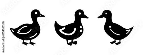 Three black ducks vector illustration for farm animals poultry design and decoration silhouette art