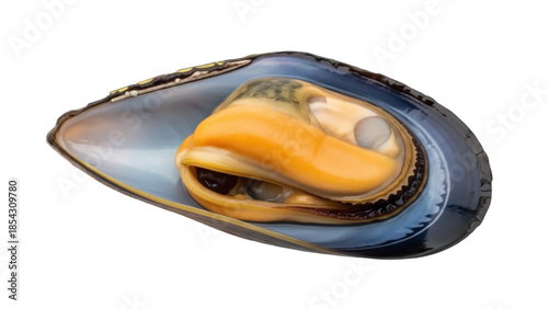Foto Fresh blue mussel with orange meat isolated PNG, seafood delicacy on transparent