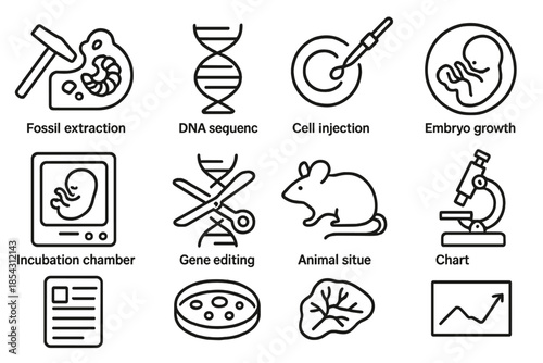 Scientific Process Icons. Line style icons of scientific process: fossil extraction, DNA sequencing, cell injection, embryo growth
