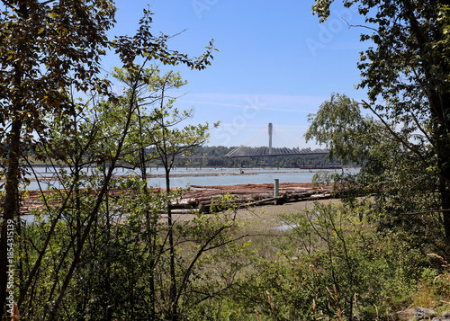 Fraser River view with timber logs and suspension bridge
