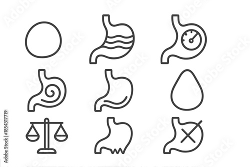 Stomach Stone Icons. Line style icons of stomach stone metrics: smooth pebble, layered stomach, circular gauge, digestion swirl,