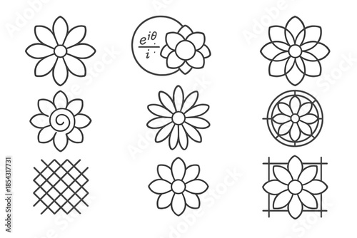 Geometric Floral Icons. Line style icons of flower head mathematics: petal symmetry, circular formula, bloom ratio, radial count,