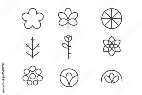 Floral Structure Icons. Line style icons of floral structure indicators: petal outline, bloom axis, radial segment, organic map,