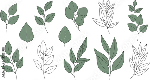 Elegant Collection of Hand-Drawn Botanical Leaves and Foliage for Design and Decoration