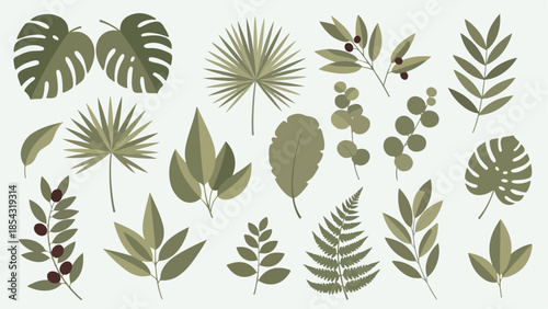 Set of Vector Leaves, Various Leaf Types in Flat Design, Botanical Elements for Design