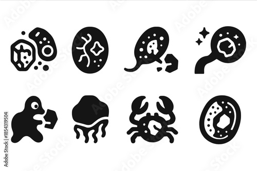 Rock Breakdown Biology. Solid style icons of rock breakdown biology: mineral enzyme cell, lithic digestion membrane, rock microbe