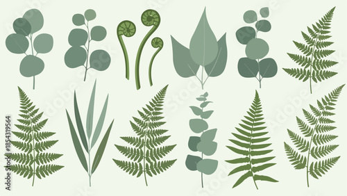 Botanical Elements A Collection of Ferns, Eucalyptus, and Green Foliage for Design and Decoration