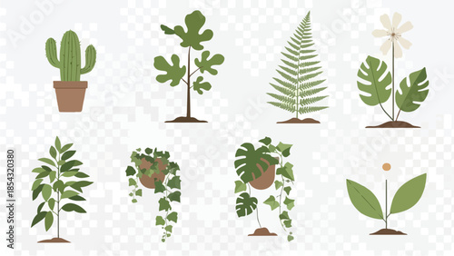 Collection of flat illustrations of diverse plants, perfect for botanical themes and design projects