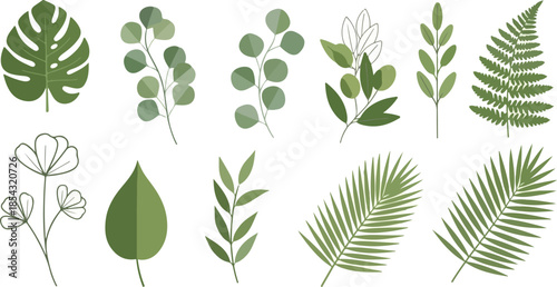 Collection of Botanical Illustrations Leaf, Branch and Foliage Elements for Creative Design Projects