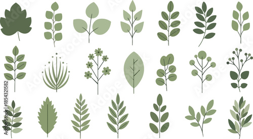 Collection of green leaves, botanical illustrations for design elements and decorative purposes