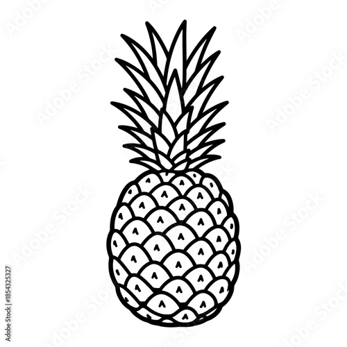 Outline Drawing of a Whole Pineapple Fruit