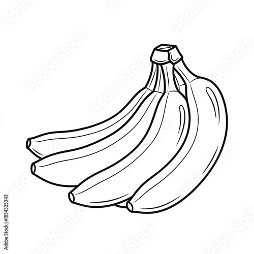 Bunch of ripe bananas line drawing illustration on white background
