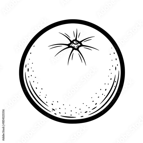 Whole citrus fruit outline ink drawing in black and white