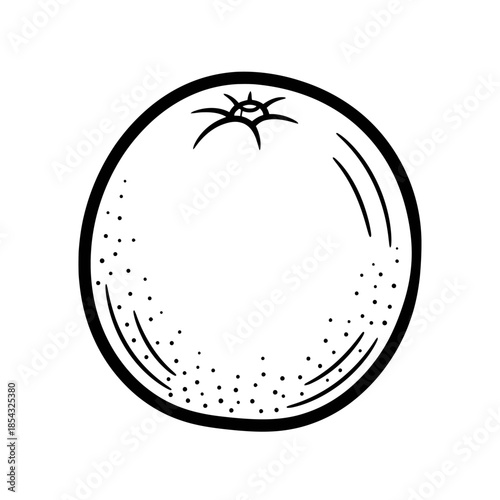 Fresh whole citrus orange fruit with stem in black and white