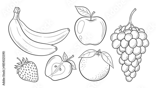 Outline drawings of various fresh fruits on a white background