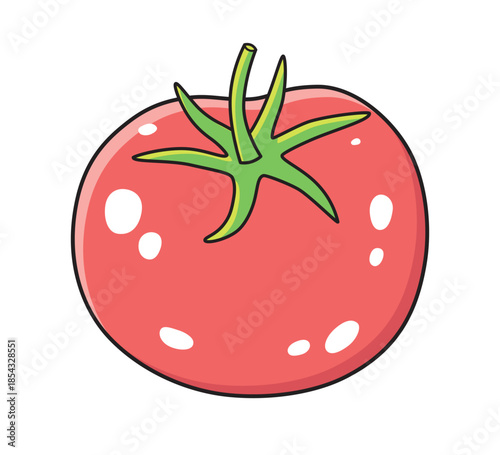 Red tomato illustration isolated vector