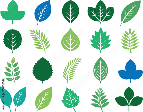 Vector set of green tree leaves and floral plant elements featuring a seamless nature pattern for eco friendly summer design illustration